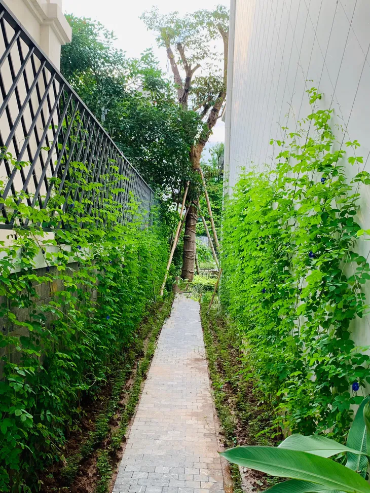 Biệt thự mới sang trọng của Lã Thanh Huyền khiến ai cũng trầm trồ - Ảnh 9. Biệt thự mới sang trọng của Lã Thanh Huyền khiến ai cũng trầm trồ - Ảnh 9.