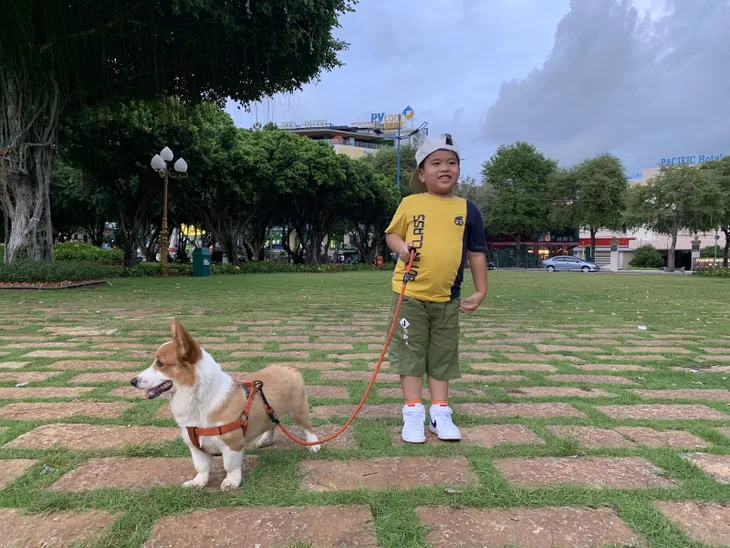 Tư vấn trực tuyến: Phát hiện sớm dị tật, bất thường cơ xương khớp ở trẻ để điều trị hiệu quả - Ảnh 2. Tư vấn trực tuyến: Phát hiện sớm dị tật, bất thường cơ xương khớp ở trẻ để điều trị hiệu quả - Ảnh 2.