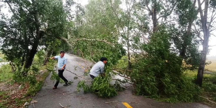 Bão số 5 khiến 1 người mất tích, cây đổ, tốc mái nhà, mất điện diện rộng tại Quảng Trị - Ảnh 1. Bão số 5 khiến 1 người mất tích, cây đổ, tốc mái nhà, mất điện diện rộng tại Quảng Trị - Ảnh 1.