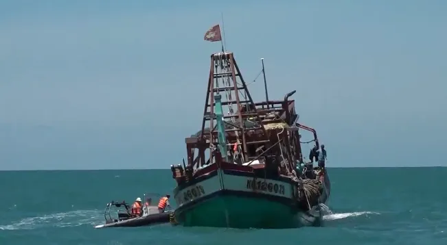 Tăng cường xử lý các vi phạm, nỗ lực gỡ thẻ vàng đối với thủy sản Việt Nam - Ảnh 1. Tăng cường xử lý các vi phạm, nỗ lực gỡ thẻ vàng đối với thủy sản Việt Nam - Ảnh 1.