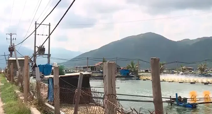 Bẫy điện từ những đường dây tạm bợ, mỗi nơi một kiểu tại vùng nuôi tôm - Ảnh 1. Bẫy điện từ những đường dây tạm bợ, mỗi nơi một kiểu tại vùng nuôi tôm - Ảnh 1.