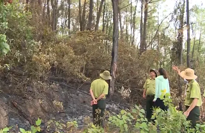Nắng nóng kéo dài, TT-Huế liên tiếp xảy ra cháy rừng - Ảnh 1. Nắng nóng kéo dài, TT-Huế liên tiếp xảy ra cháy rừng - Ảnh 1.