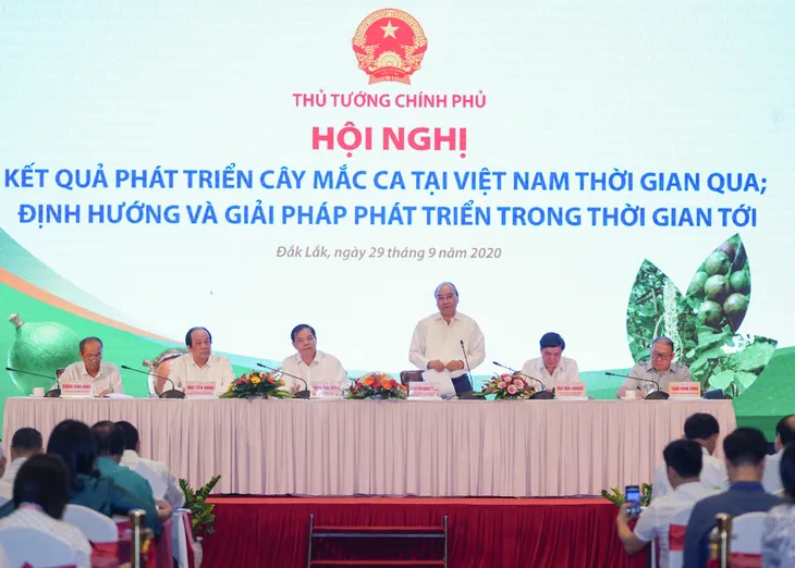 Macca - Cây trồng mang lại hiệu quả kinh tế cao - Ảnh 1. Macca - Cây trồng mang lại hiệu quả kinh tế cao - Ảnh 1.