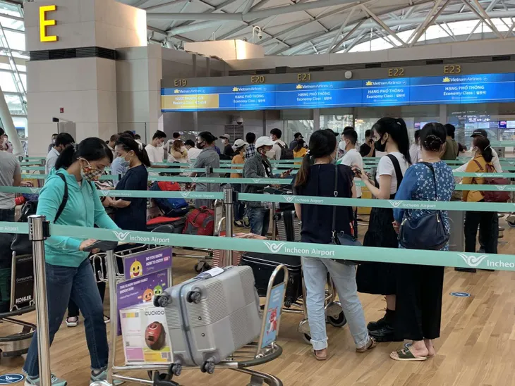 Hơn 900 công dân Việt Nam từ Hàn Quốc, Singapore, Australia và New Zealand về nước an toàn - Ảnh 1. Hơn 900 công dân Việt Nam từ Hàn Quốc, Singapore, Australia và New Zealand về nước an toàn - Ảnh 1.