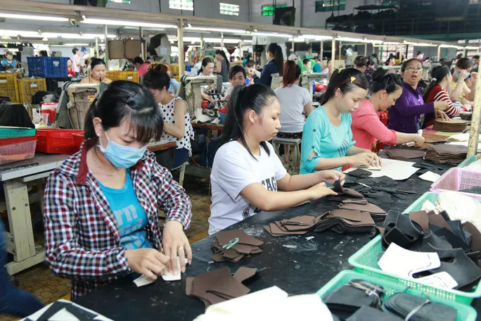 Mất việc vì COVID-19, người lao động được hưởng quyền lợi gì? - Ảnh 1. Mất việc vì COVID-19, người lao động được hưởng quyền lợi gì? - Ảnh 1.
