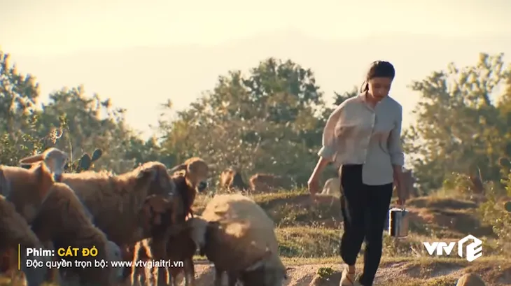 Cát đỏ: Trai hư hùng hổ đánh ghen khiến bạn gái dọa sảy thai - Ảnh 5. Cát đỏ: Trai hư hùng hổ đánh ghen khiến bạn gái dọa sảy thai - Ảnh 5.