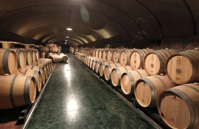 Năm 2020 là năm kinh hoàng đối với rượu champagne - Ảnh 2. Năm 2020 là năm kinh hoàng đối với rượu champagne - Ảnh 2.