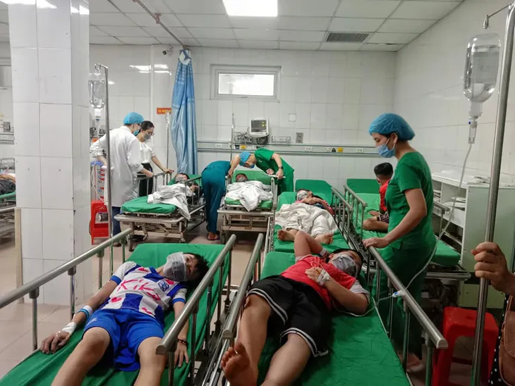 Cấp cứu 16 học sinh tiểu học bị ong đốt - Ảnh 1. Cấp cứu 16 học sinh tiểu học bị ong đốt - Ảnh 1.