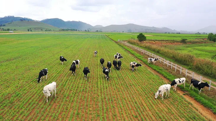 Hệ thống trang trại bò sữa Vinamilk đạt mức tăng trưởng ấn tượng - Ảnh 7.