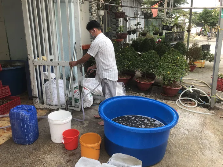 Bắt quả tang 1,3 tấn ốc tẩm hóa chất chuẩn bị bán ở chợ, quán ăn - Ảnh 3. Bắt quả tang 1,3 tấn ốc tẩm hóa chất chuẩn bị bán ở chợ, quán ăn - Ảnh 3.