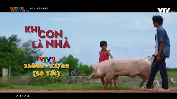 Điểm hẹn phim Tết trên kênh VTV9 - Ảnh 1. Điểm hẹn phim Tết trên kênh VTV9 - Ảnh 1.