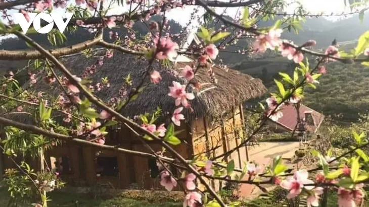 Đào dán tem nhộn nhịp xuống phố - Ảnh 3. Đào dán tem nhộn nhịp xuống phố - Ảnh 3.