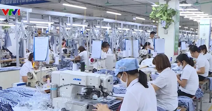SCIC cần thay đổi mô hình hoạt động để đầu tư hiệu quả - Ảnh 2. SCIC cần thay đổi mô hình hoạt động để đầu tư hiệu quả - Ảnh 2.
