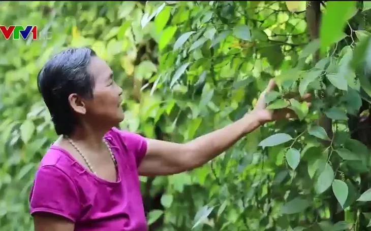 Khi người dân hộ nghèo tự nguyện xin thoát nghèo - Ảnh 2.