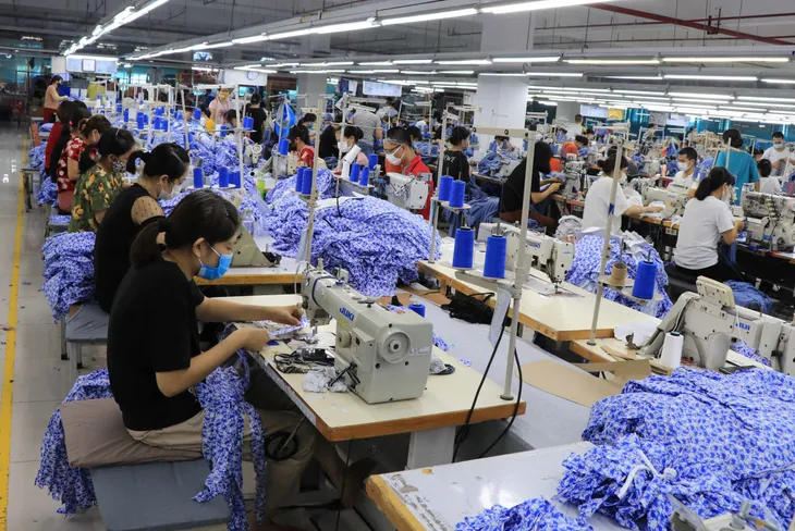 Xây dựng cơ sở dữ liệu: Nền tảng cho lộ trình phục hồi - Ảnh 2. Xây dựng cơ sở dữ liệu: Nền tảng cho lộ trình phục hồi - Ảnh 2.
