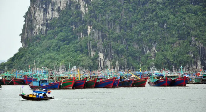 Nhiều địa phương cấm biển ứng phó bão số 7 - Ảnh 1. Nhiều địa phương cấm biển ứng phó bão số 7 - Ảnh 1.