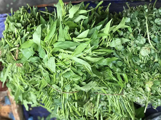 Giá rau xanh tăng mạnh, người mua sững sờ - Ảnh 2. Giá rau xanh tăng mạnh, người mua sững sờ - Ảnh 2.