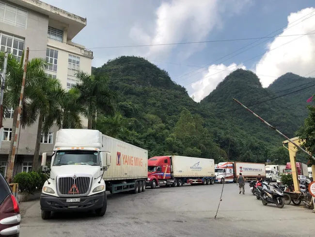 Quy định mới về nông sản Việt Nam vào Trung Quốc - Ảnh 2. Quy định mới về nông sản Việt Nam vào Trung Quốc - Ảnh 2.