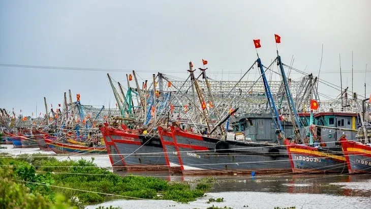 Mưa lớn do bão số 8, Thanh Hóa nguy cơ cao lũ quét, ngập lụt gây chia cắt - Ảnh 1.