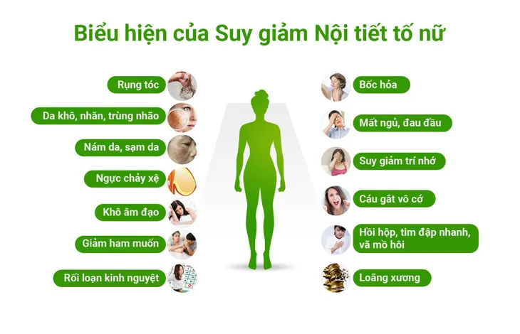 Muốn kéo dài tuổi xuân, đừng thờ ơ với nội tiết tố nữ - Ảnh 2. Muốn kéo dài tuổi xuân, đừng thờ ơ với nội tiết tố nữ - Ảnh 2.