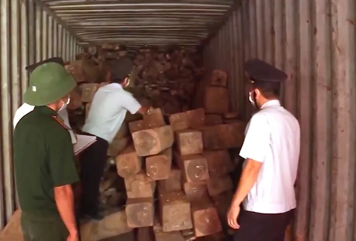 Dùng xe container thùng kín, trà trộn các loại gỗ: Thủ đoạn mới của các đối tượng vận chuyển gỗ lậu - Ảnh 2. Dùng xe container thùng kín, trà trộn các loại gỗ: Thủ đoạn mới của các đối tượng vận chuyển gỗ lậu - Ảnh 2.