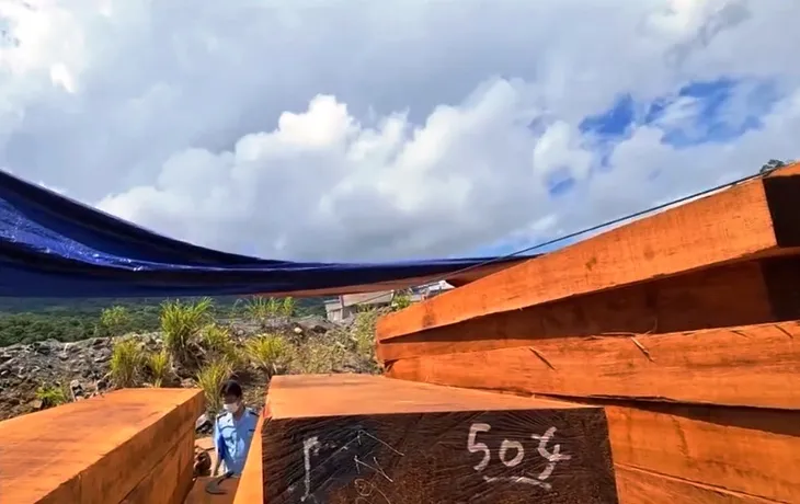 Dùng xe container thùng kín, trà trộn các loại gỗ: Thủ đoạn mới của các đối tượng vận chuyển gỗ lậu - Ảnh 3. Dùng xe container thùng kín, trà trộn các loại gỗ: Thủ đoạn mới của các đối tượng vận chuyển gỗ lậu - Ảnh 3.