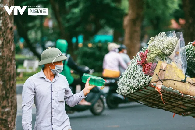 Sắc trắng vàng cúc họa mi điểm khắp phố phường Hà Nội - Ảnh 5.