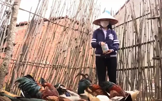 Nữ sinh người Nùng trở thành thủ khoa Đại học Sư phạm TP Hồ Chí Minh - Ảnh 3. Nữ sinh người Nùng trở thành thủ khoa Đại học Sư phạm TP Hồ Chí Minh - Ảnh 3.