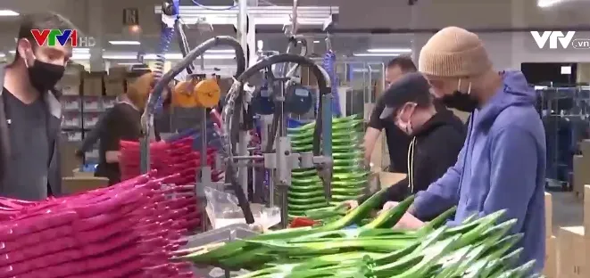 Pháp bắt buộc DN phải bổ nhiệm nhân viên chuyên trách phòng dịch - Ảnh 1. Pháp bắt buộc DN phải bổ nhiệm nhân viên chuyên trách phòng dịch - Ảnh 1.