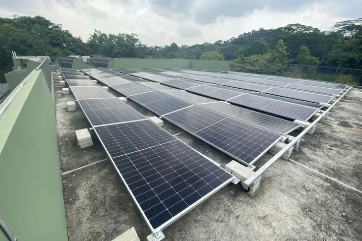 Vườn thú tại Singapore đặt mục tiêu đạt trung hòa carbon vào năm 2024 - Ảnh 1. Vườn thú tại Singapore đặt mục tiêu đạt trung hòa carbon vào năm 2024 - Ảnh 1.