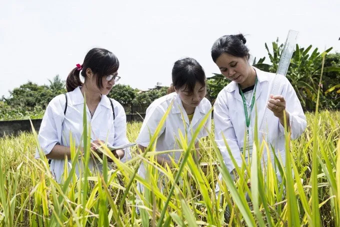 Mỗi thầy cô, mỗi trường đều có sứ mệnh giúp nông nghiệp thoát ‘lời nguyền’ manh mún, nhỏ lẻ - Ảnh 2. Mỗi thầy cô, mỗi trường đều có sứ mệnh giúp nông nghiệp thoát ‘lời nguyền’ manh mún, nhỏ lẻ - Ảnh 2.