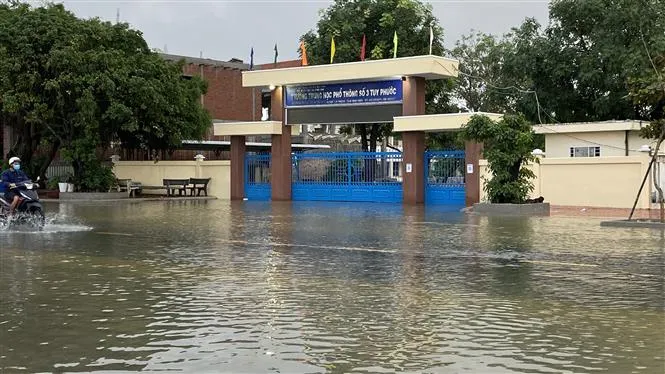 Mưa lớn tiếp tục gây ngập lụt, sạt lở tại Bình Định - Ảnh 3. Mưa lớn tiếp tục gây ngập lụt, sạt lở tại Bình Định - Ảnh 3.