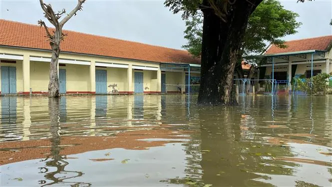 Bình Định: Hàng ngàn học sinh phải nghỉ học do mưa lũ - Ảnh 3. Bình Định: Hàng ngàn học sinh phải nghỉ học do mưa lũ - Ảnh 3.