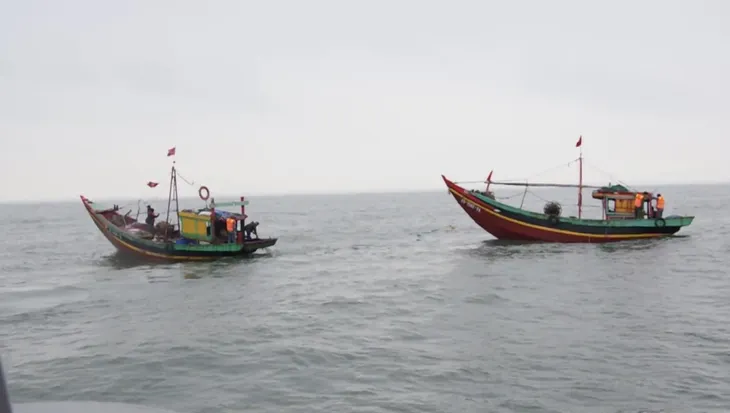 Bắt 3 tàu cá vi phạm khai thác thủy sản trên vùng biển - Ảnh 1. Bắt 3 tàu cá vi phạm khai thác thủy sản trên vùng biển - Ảnh 1.