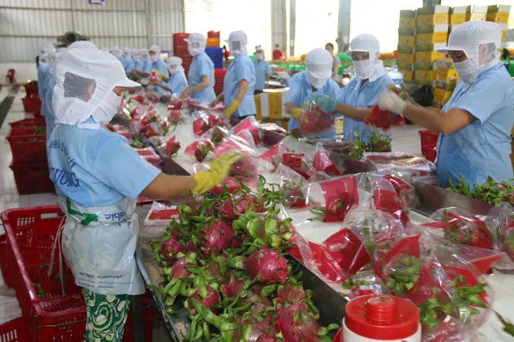 Trung Quốc không còn là thị trường dễ tính của nông sản Việt - Ảnh 1. Trung Quốc không còn là thị trường dễ tính của nông sản Việt - Ảnh 1.