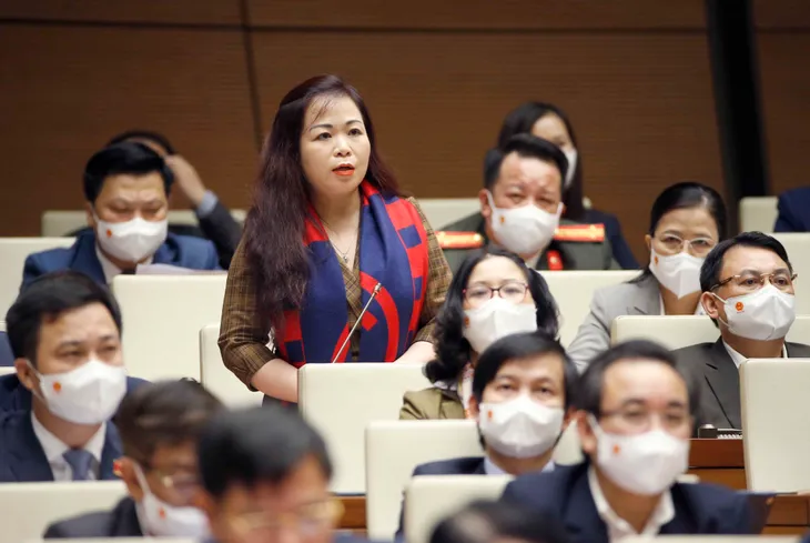 Đại biểu Quốc hội băn khoăn về khoảng cách giàu - nghèo - Ảnh 1. Đại biểu Quốc hội băn khoăn về khoảng cách giàu - nghèo - Ảnh 1.