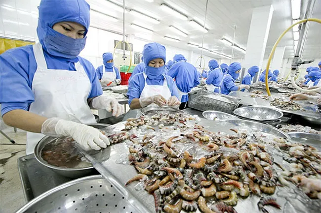 Kinh tế Việt Nam trên đà phục hồi - Ảnh 2. Kinh tế Việt Nam trên đà phục hồi - Ảnh 2.