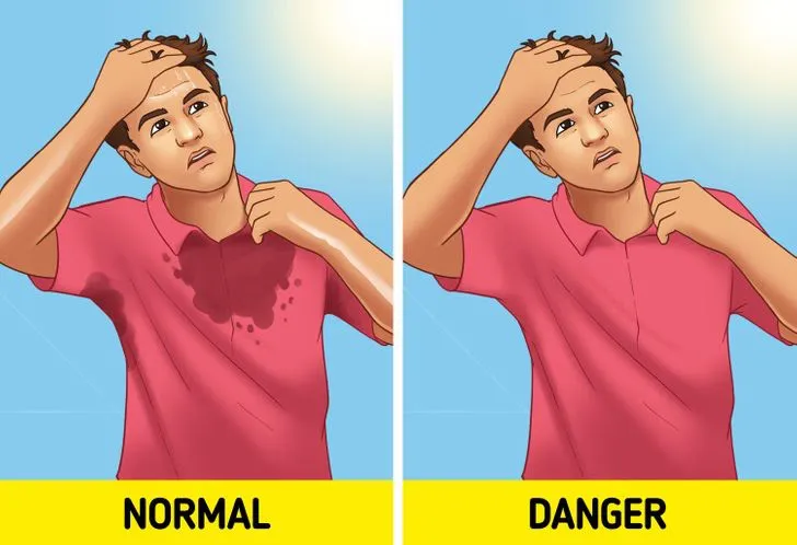 Mồ hôi thật sự có “hôi” hay không? - Ảnh 2. Mồ hôi thật sự có “hôi” hay không? - Ảnh 2.