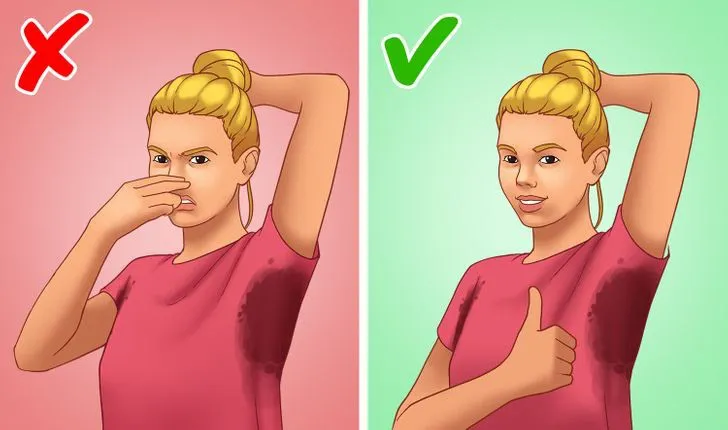 Mồ hôi thật sự có “hôi” hay không? - Ảnh 4. Mồ hôi thật sự có “hôi” hay không? - Ảnh 4.