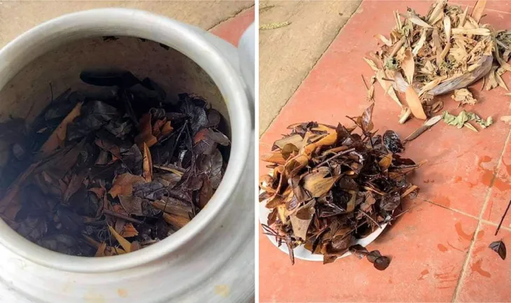 Bé sơ sinh bị ngộ độc, suy đa tạng do uống thuốc nam điều trị viêm da - Ảnh 1. Bé sơ sinh bị ngộ độc, suy đa tạng do uống thuốc nam điều trị viêm da - Ảnh 1.