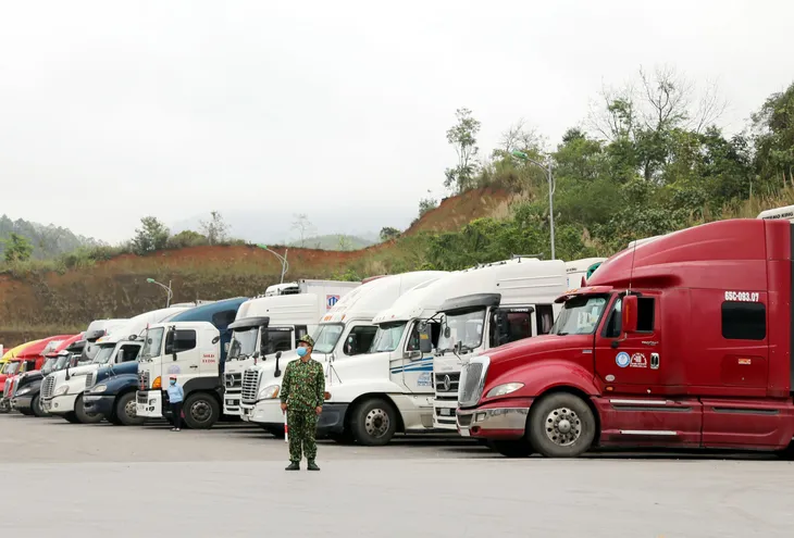 Hàng nghìn tấn nông sản chờ đầu ra - Ảnh 2. Hàng nghìn tấn nông sản chờ đầu ra - Ảnh 2.