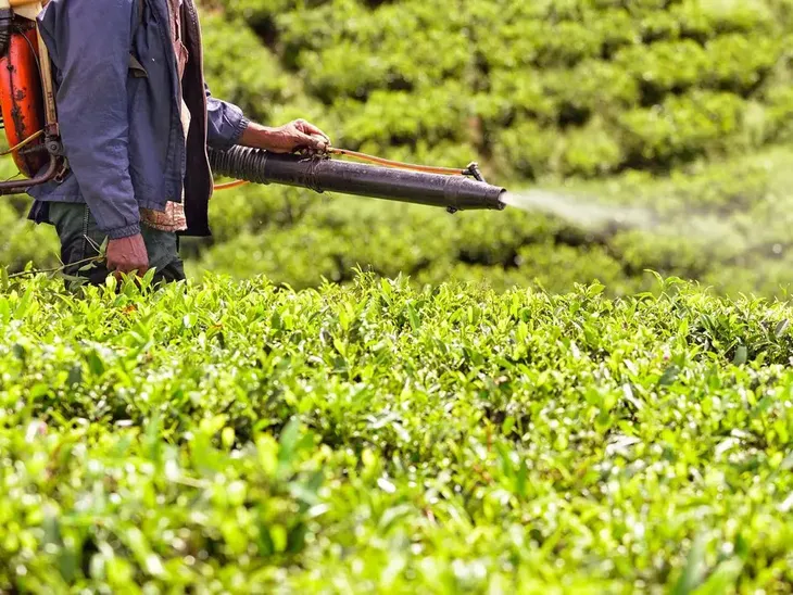 7 vật dụng, thói quen làm tăng nguy cơ ung thư - Ảnh 6. 7 vật dụng, thói quen làm tăng nguy cơ ung thư - Ảnh 6.