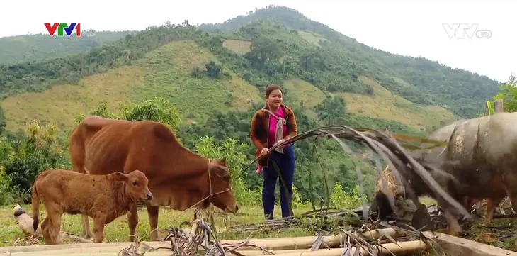 Làm sao để lõi nghèo thoát nghèo? - Ảnh 1. Làm sao để lõi nghèo thoát nghèo? - Ảnh 1.