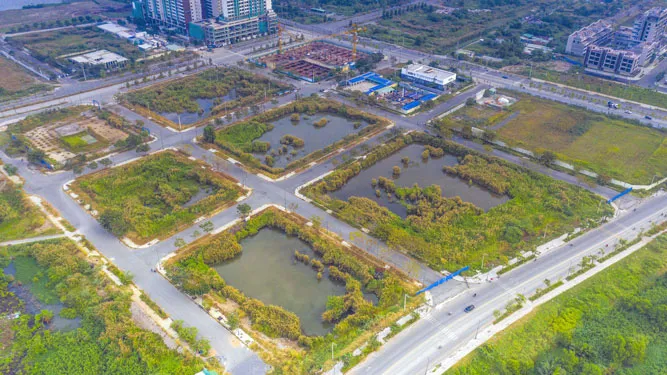 Đấu giá đất liên tục lập kỷ lục mới: Nhu cầu thị trường hay Luật Đấu giá có kẽ hở? - Ảnh 1. Đấu giá đất liên tục lập kỷ lục mới: Nhu cầu thị trường hay Luật Đấu giá có kẽ hở? - Ảnh 1.