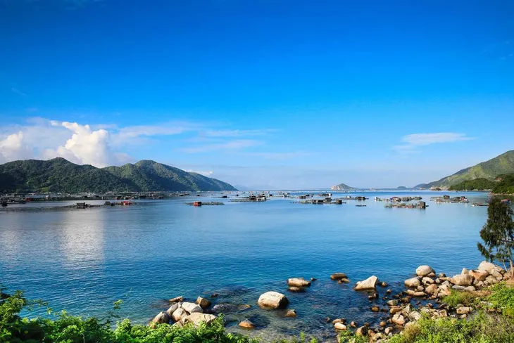Phú Yên đón nhu cầu bổ sung quần thể thương mại độc đáo - Ảnh 1. Phú Yên đón nhu cầu bổ sung quần thể thương mại độc đáo - Ảnh 1.