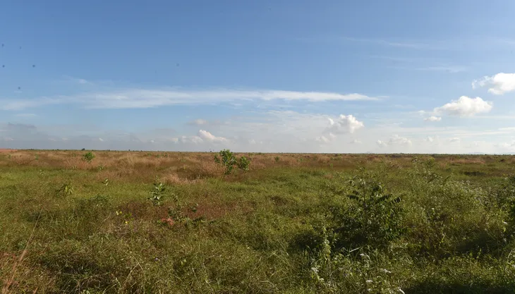 Phó Thủ tướng: Không cho phép chậm tiến độ sân bay Long Thành - Ảnh 3. Phó Thủ tướng: Không cho phép chậm tiến độ sân bay Long Thành - Ảnh 3.