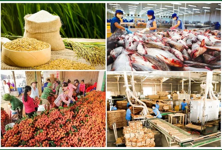 Xuất khẩu nông sản vượt mục tiêu Chính phủ giao - Ảnh 1. Xuất khẩu nông sản vượt mục tiêu Chính phủ giao - Ảnh 1.