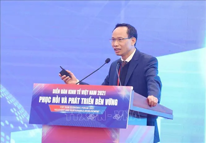 Diễn đàn Kinh tế Việt Nam 2021: Cân nhắc chia chính sách tài khoá và tiền tệ thành 3 giai đoạn - Ảnh 1. Diễn đàn Kinh tế Việt Nam 2021: Cân nhắc chia chính sách tài khoá và tiền tệ thành 3 giai đoạn - Ảnh 1.