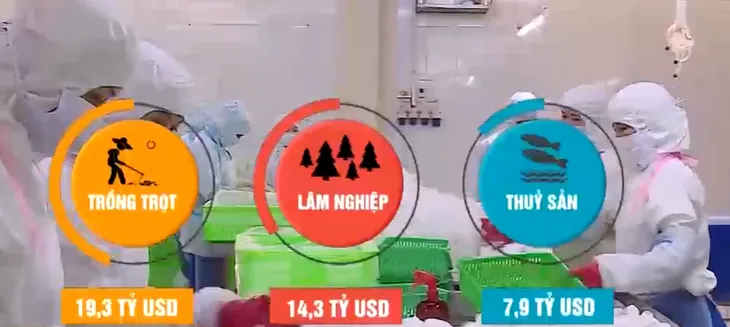 Xuất khẩu nông sản hướng tới 47 tỷ USD - Ảnh 1. Xuất khẩu nông sản hướng tới 47 tỷ USD - Ảnh 1.