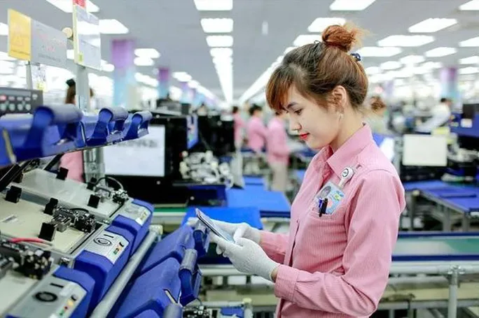 Lao động thời vụ dịp Tết: Cung - cầu khó gặp - Ảnh 1. Lao động thời vụ dịp Tết: Cung - cầu khó gặp - Ảnh 1.